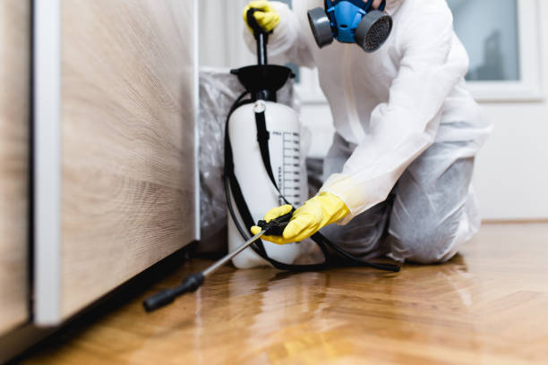 Best Best Pest Control Companies  in Long Beach, MD