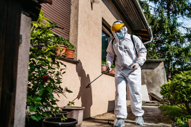 Pest Prevention Services in Long Beach, MD