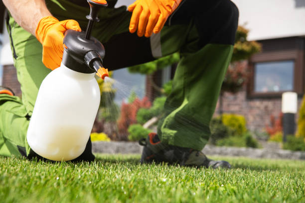 Best Emergency Pest Control  in Long Beach, MD