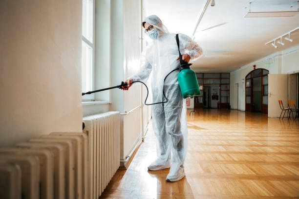 Best Affordable Pest Control Services  in Long Beach, MD